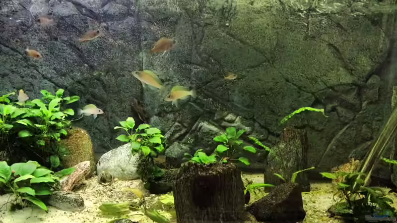 Front-Ansicht von der rechten Seite des Beckens... Front-Ansicht von der rechten Seite des Beckens...