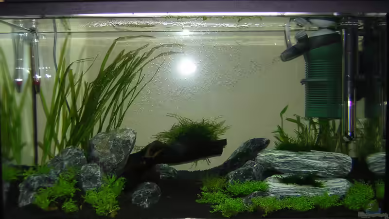 Front Ansicht Front Ansicht