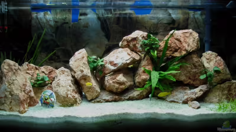 Front Ansicht Front Ansicht