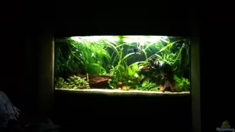 front im oktober front im oktober