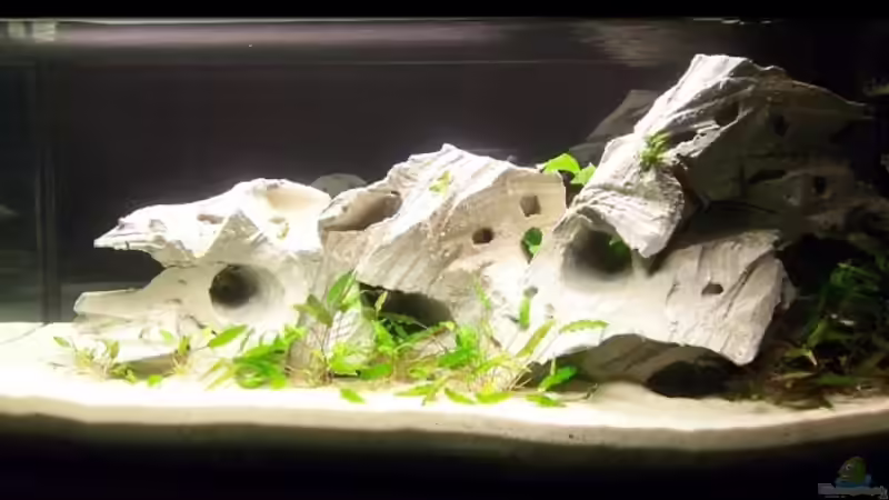 Front rechts nach Neueinrichtung Front rechts nach Neueinrichtung