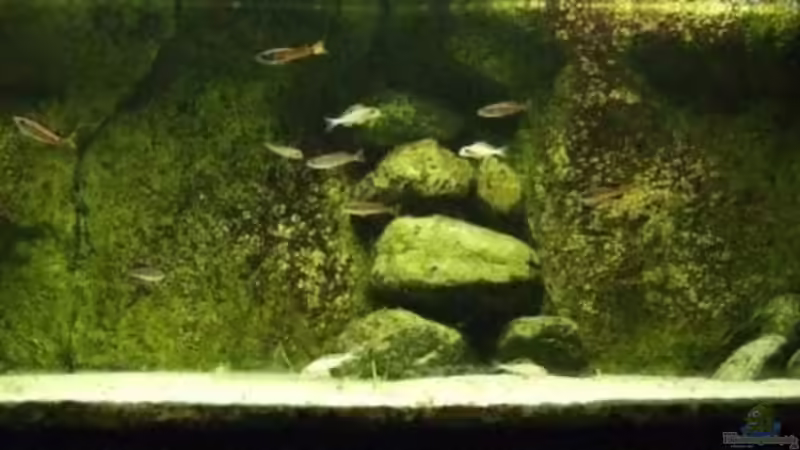 Frontalansicht... Frontalansicht...