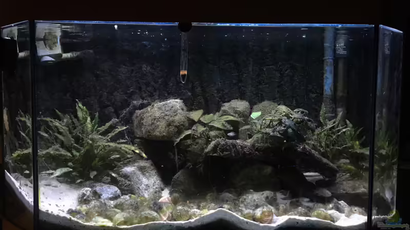 Frontalansicht Frontalansicht