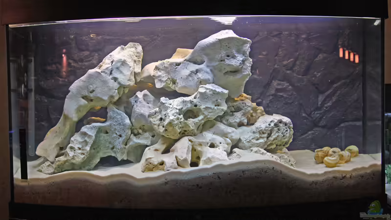 Frontalansicht Frontalansicht