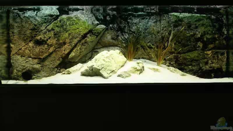 Frontalansicht Frontalansicht