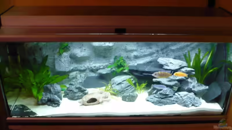 Frontalansicht Frontalansicht