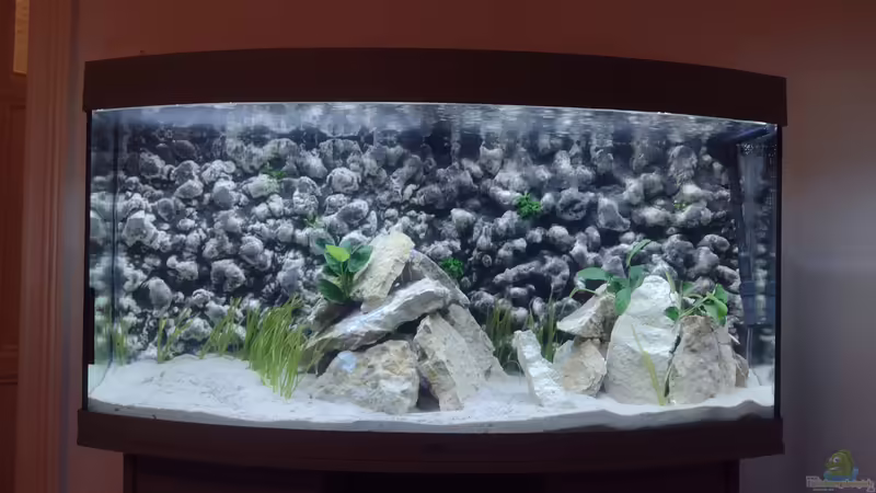 Frontale Sicht auf das Aquarium Frontale Sicht auf das Aquarium