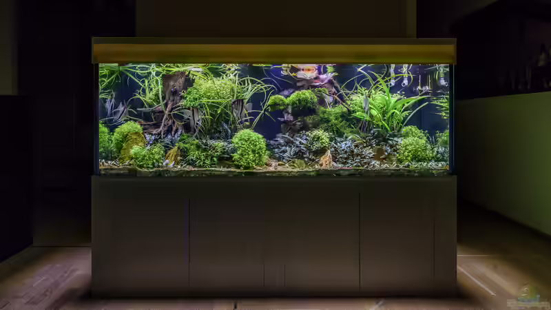 Frontansicht 03-2023 Frontansicht 03-2023