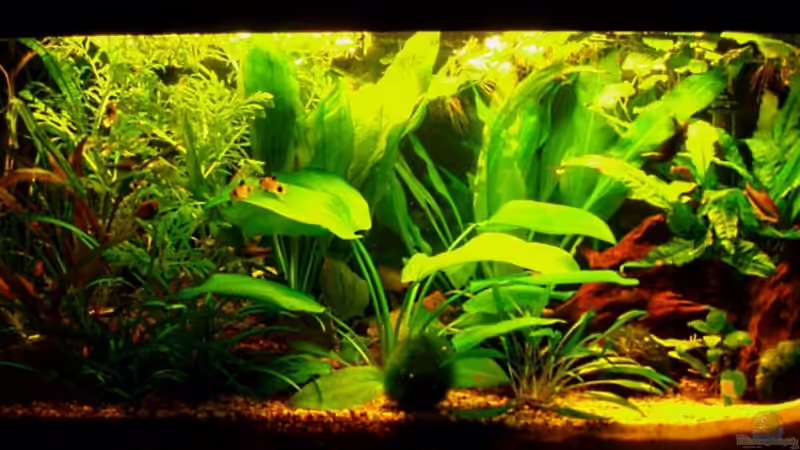 Frontansicht 06.03.10 Frontansicht 06.03.10