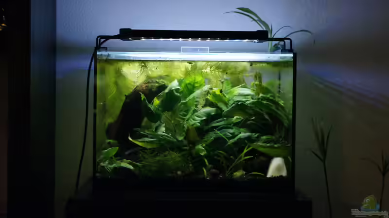 Frontansicht 08.04.19 Frontansicht 08.04.19