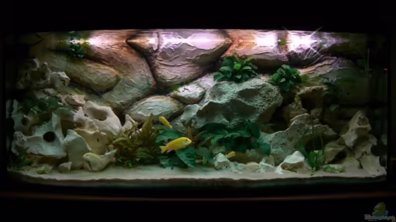 Frontansicht 12.März.2008 Frontansicht 12.März.2008