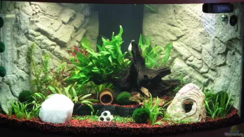 Frontansicht 29.08.2009 Frontansicht 29.08.2009