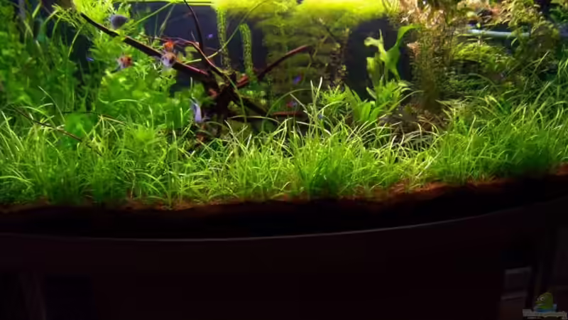 Frontansicht Abends Frontansicht Abends