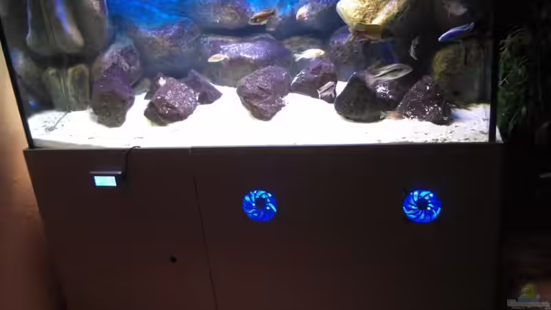 Frontansicht (Blick in den Malawisee ;-)) Frontansicht (Blick in den Malawisee ;-))