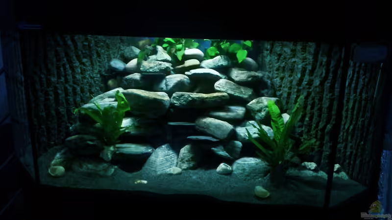 Frontansicht mit reduzierter Beleuchtung Frontansicht mit reduzierter Beleuchtung