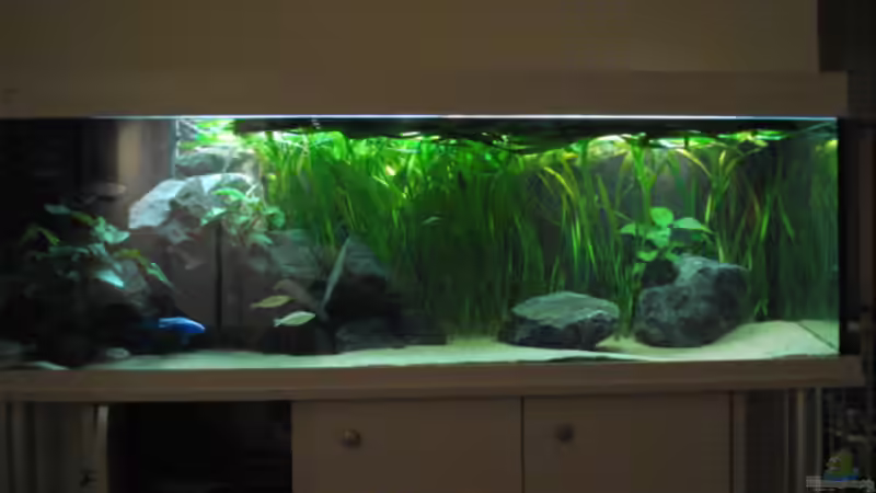 Frontansicht Neu 13.11.06 Frontansicht Neu 13.11.06