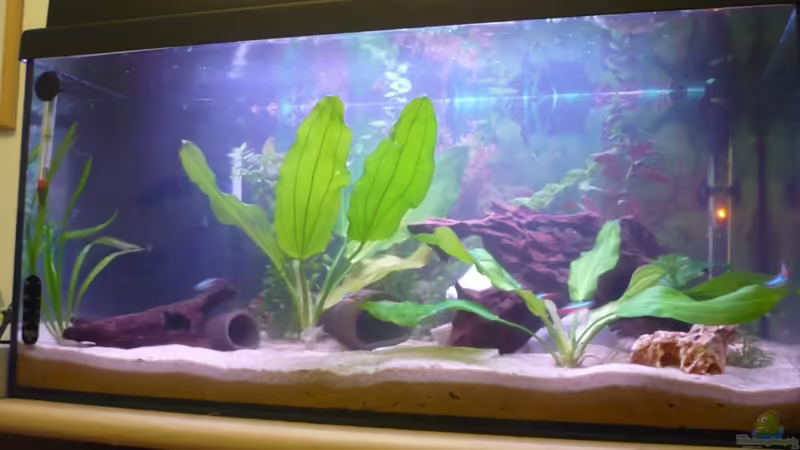 Frontansicht Neu vom 13.11.10 Frontansicht Neu vom 13.11.10