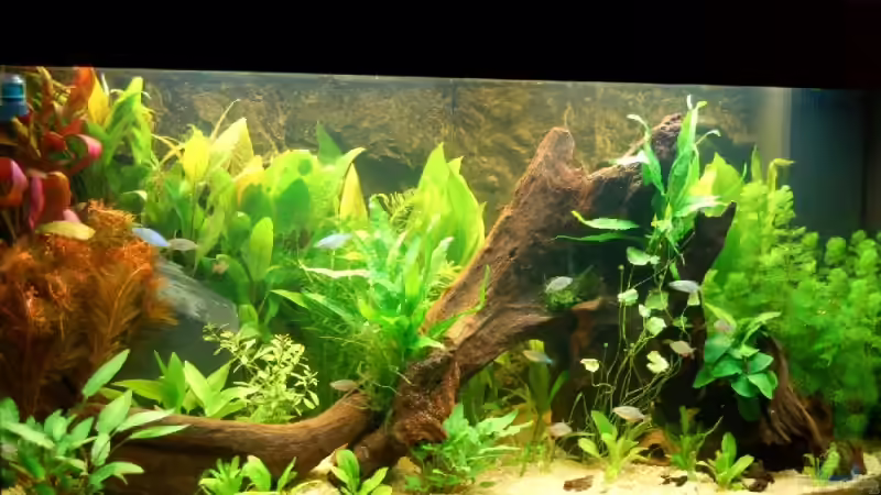 Frontansicht vom 15.09.2006 Frontansicht vom 15.09.2006