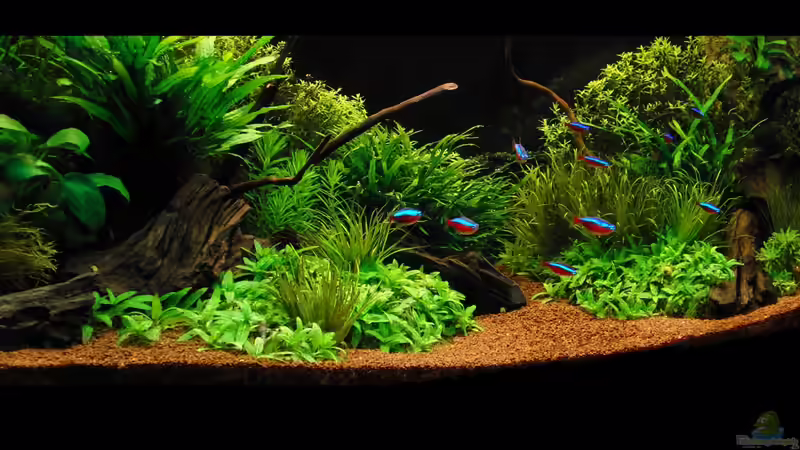 Frontansicht vom 20.04.2012 Frontansicht vom 20.04.2012