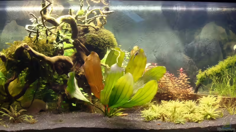 Frontansicht vom 24.11.2013 Frontansicht vom 24.11.2013