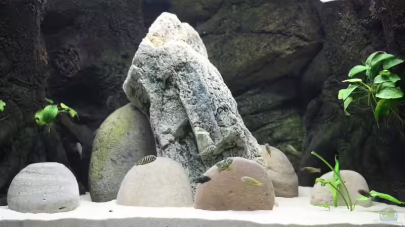 Frontansicht Frontansicht