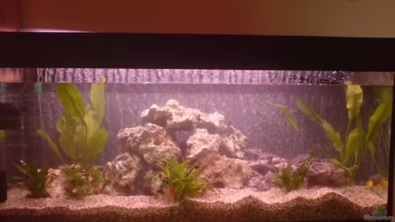 Frontansicht Frontansicht