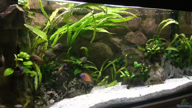 Frontansicht Frontansicht