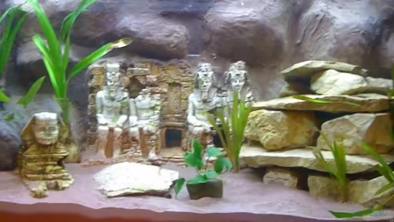 Frontansicht Frontansicht