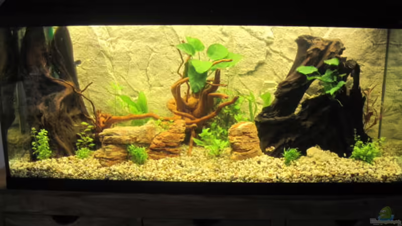 Frontansicht Frontansicht