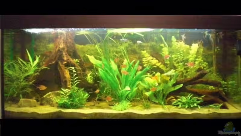 Frontansicht Frontansicht