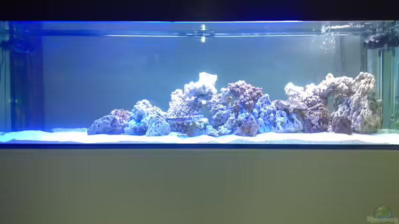 Frontansicht Frontansicht