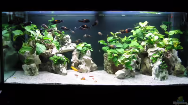 Frontansicht Frontansicht