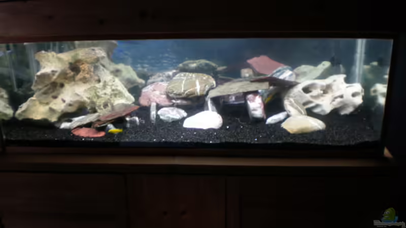 Frontansicht Frontansicht