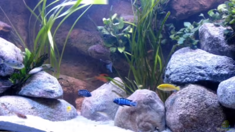 Frontansicht Frontansicht