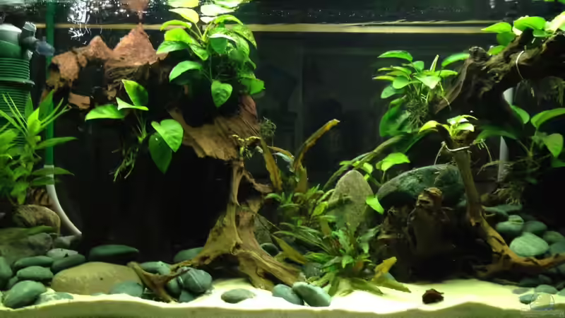 Frontansicht Frontansicht