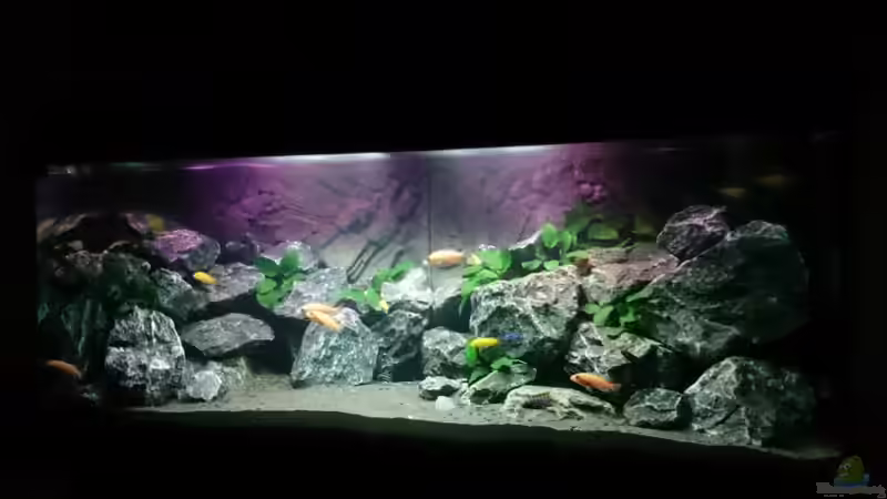 Frontansicht Frontansicht