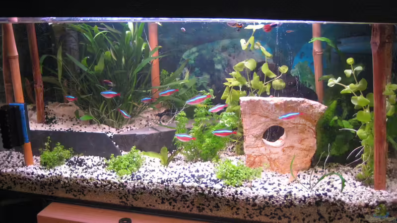 Frontansicht Frontansicht