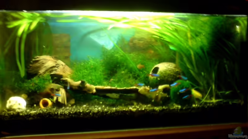 Frontansicht Frontansicht