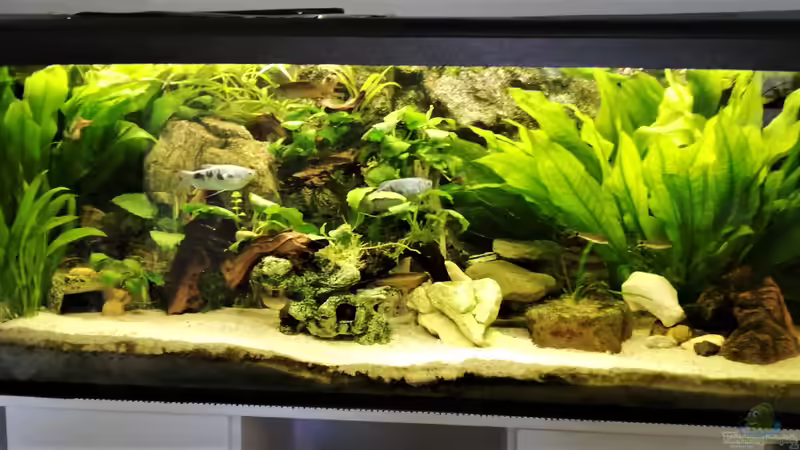 Frontansicht Frontansicht