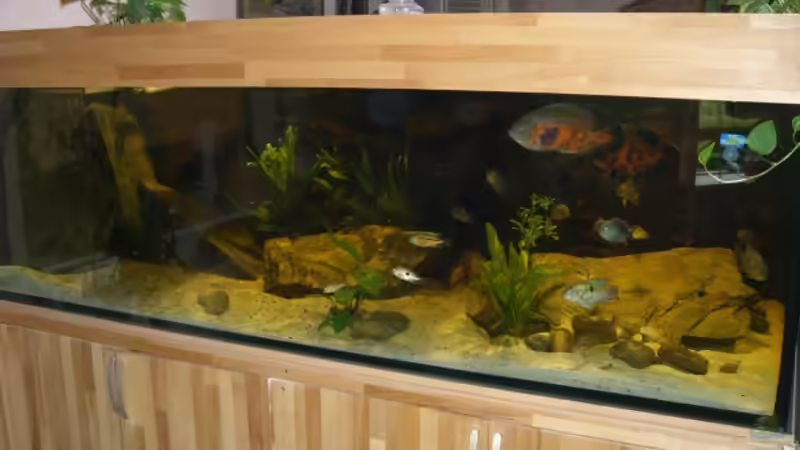 Frontansicht Frontansicht