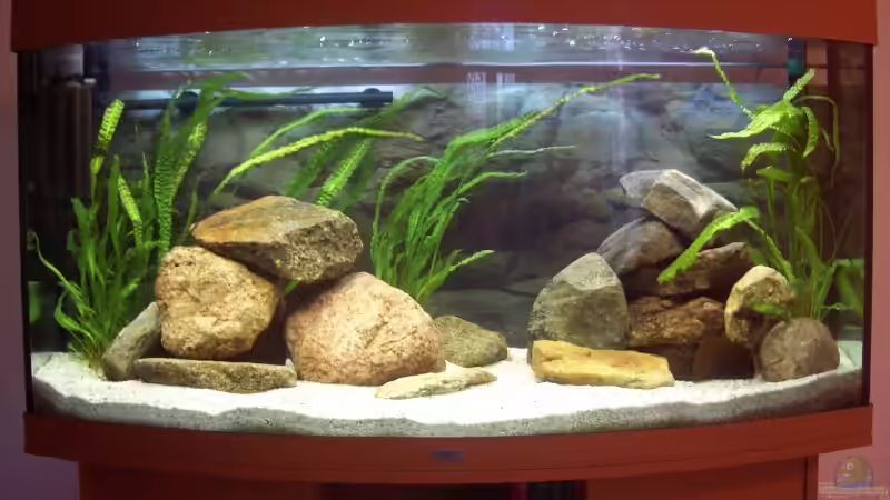 Frontansicht Frontansicht