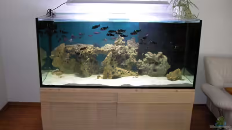 Frontansicht Frontansicht