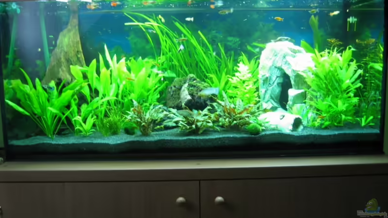 Frontansicht Frontansicht