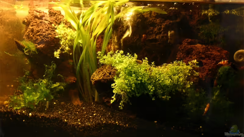 Frontansicht Frontansicht