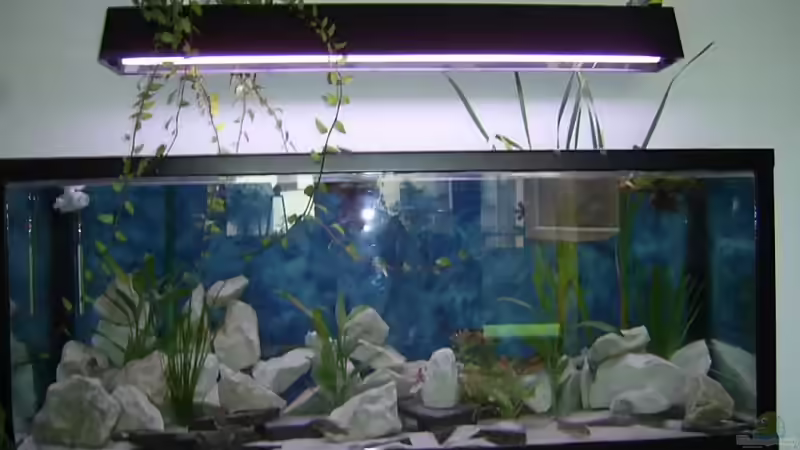 frontansicht frontansicht