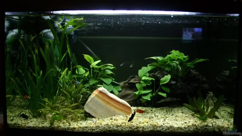 Frontansicht Frontansicht