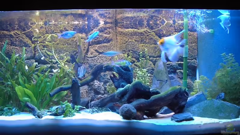 Frontansicht Frontansicht