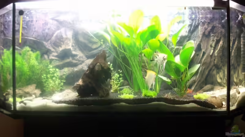 frontansicht frontansicht