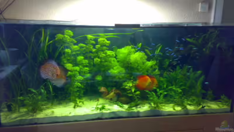 Frontansicht Frontansicht