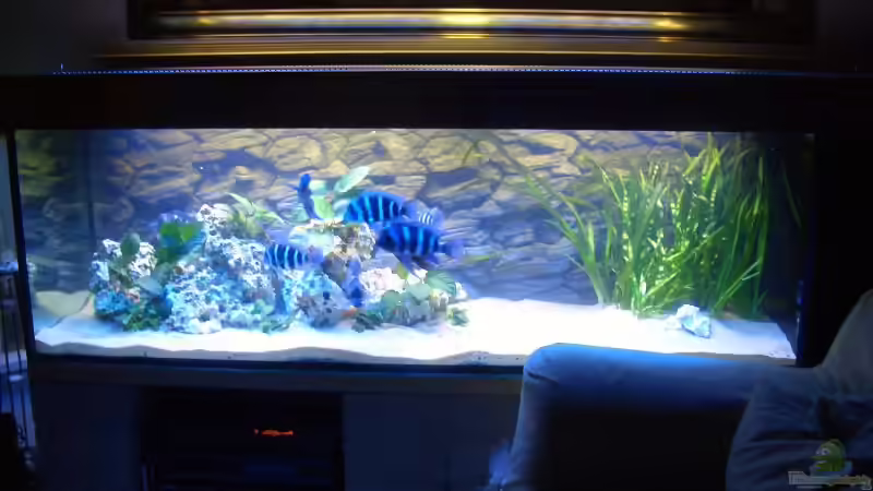 Frontansicht Frontansicht